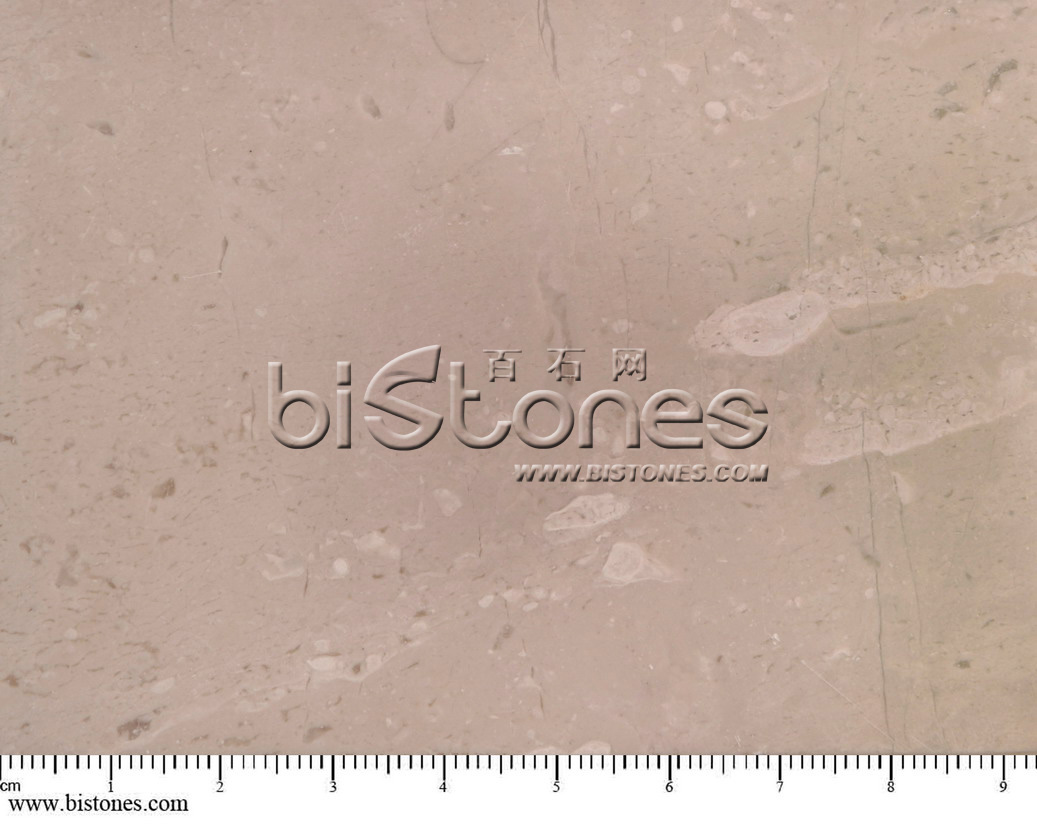 DiNa Beige