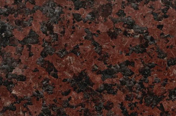 Africa Red Africa Red