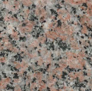 Abbey Rose Abbey Rose