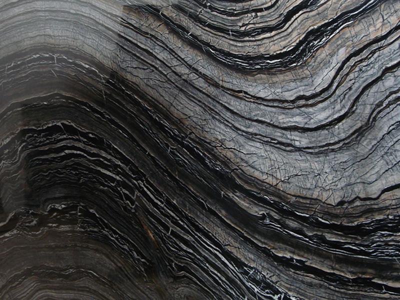 Acient Wood Veins Acient Wood Veins