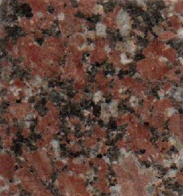 Adelaide Rose Adelaide Rose