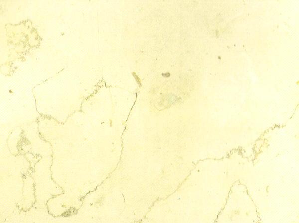 Biancone B Biancone B