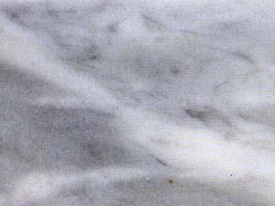 Bianco Trambiserra Bianco Trambiserra