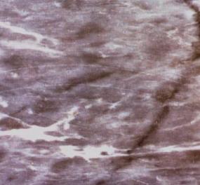 Blu Venato D Italia Blu Venato D Italia