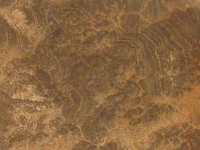 Imperial Wood Dark Imperial Wood Dark