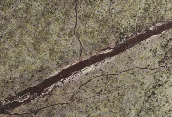 Rain Forest Green Rain Forest Green