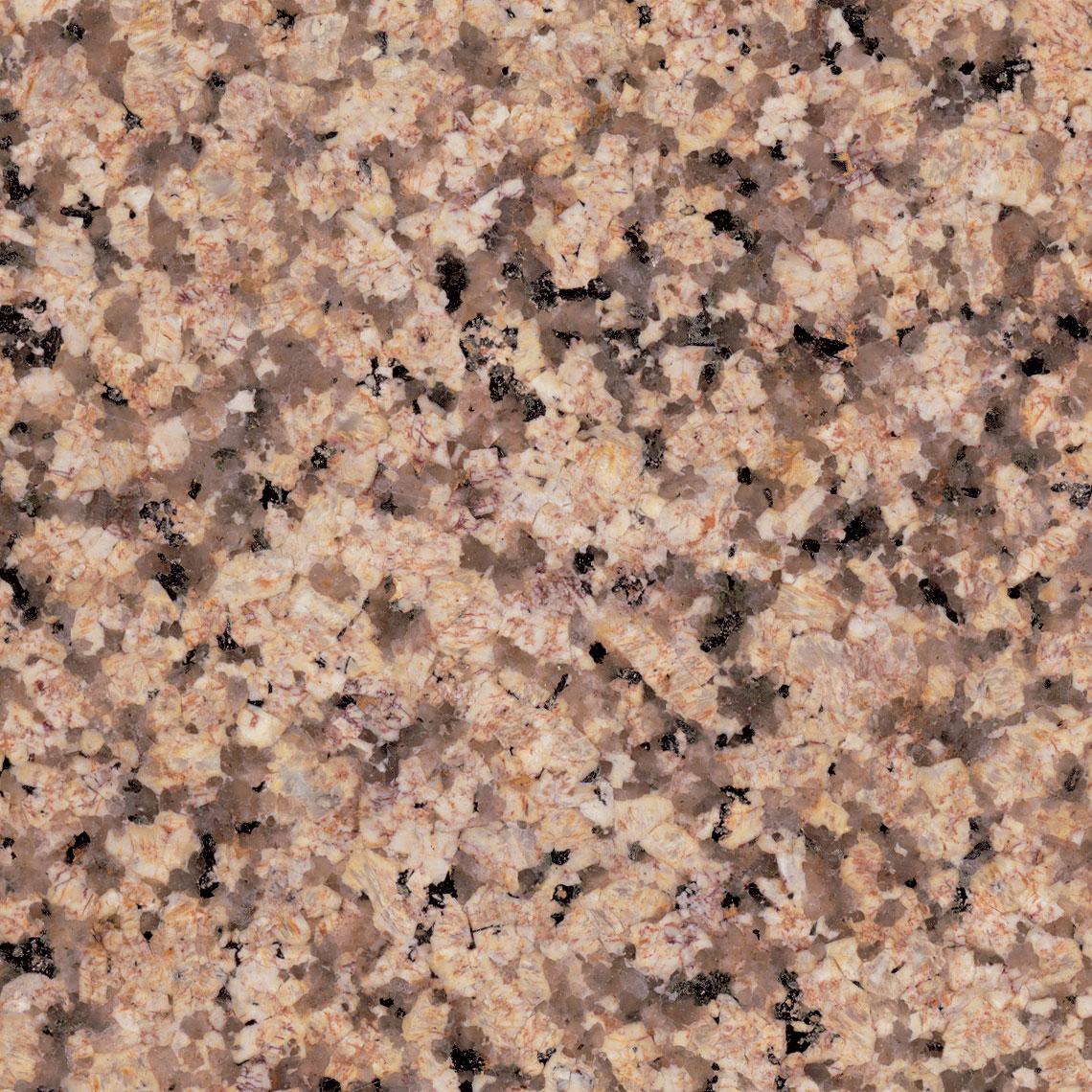 Royal Cream Royal Cream