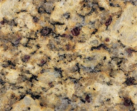 Yellow Santa Cecilia Yellow Santa Cecilia