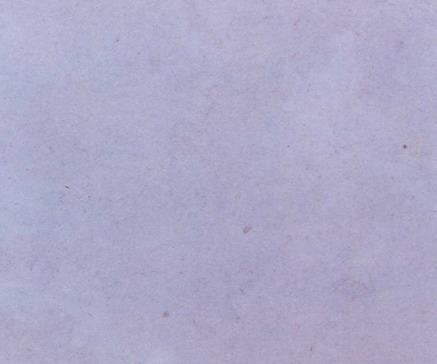 White Fossil
