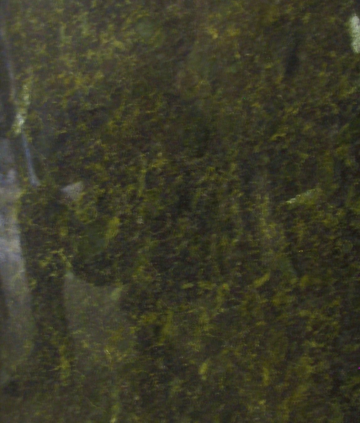 Verde Vizag Verde Vizag