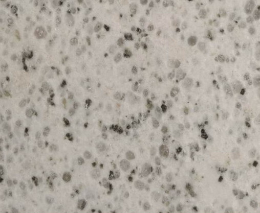 Polar White Polar White