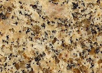 Purple Dot Yellow Grain Purple Dot Yellow Grain