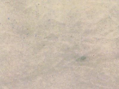 Milas Beyaz Milas Beyaz