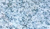Laizhou White Laizhou White