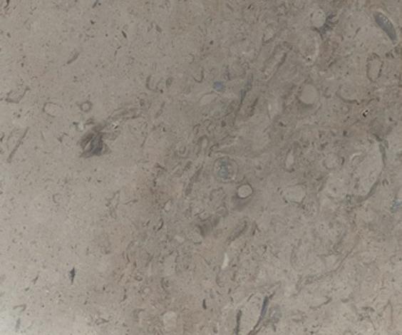 Lipica Fiorito Lipica Fiorito