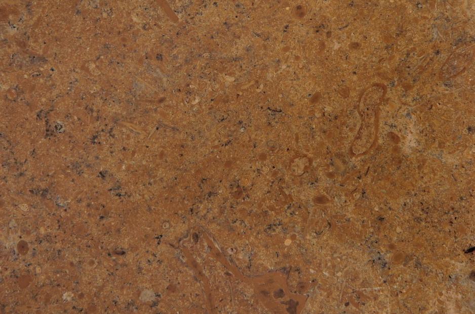 Lnous Gold Lnous Gold