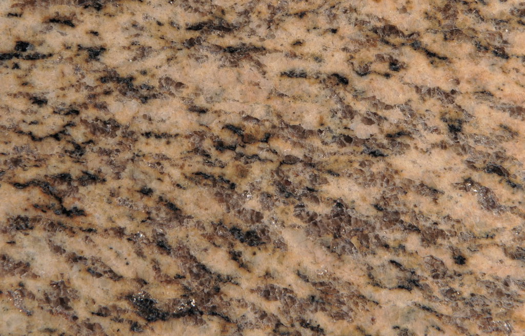 Tiger Skin Yellow Tiger Skin Yellow