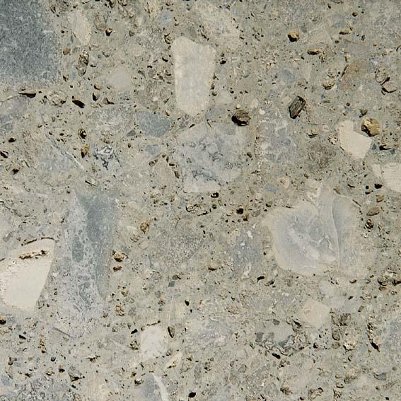 Ceppo Di Poltragno