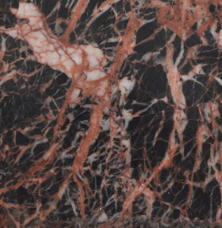 Cuckoo Red Cuckoo Red