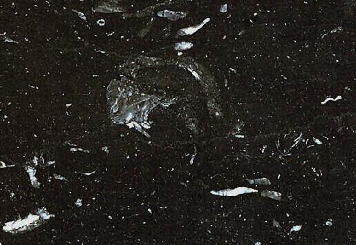 Black of Vytinas Black of Vytinas