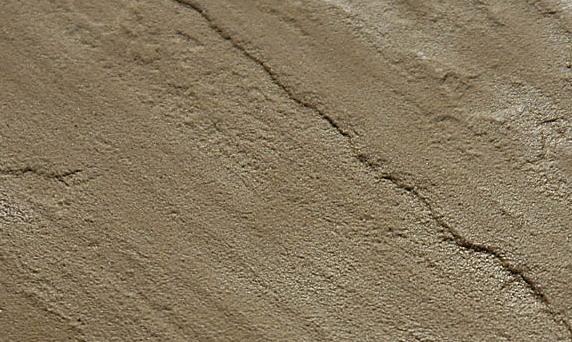 Autumn Brown Autumn Brown