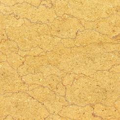 Gloden Shell Gloden Shell