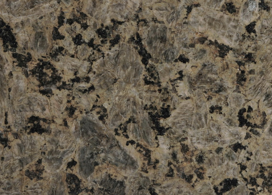 Green Leopard of Yuexi Green Leopard of Yuexi