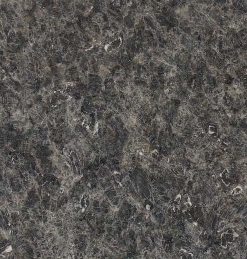 Gray Ice Flower Gray Ice Flower