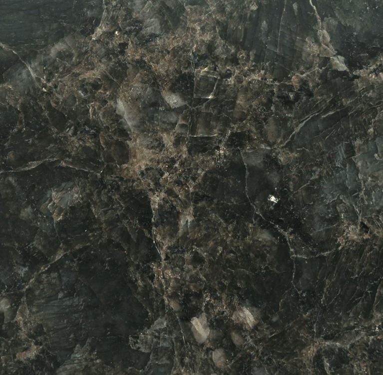 Butterfly Green Butterfly Green