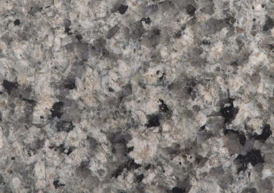 Hassan Green Hassan Green