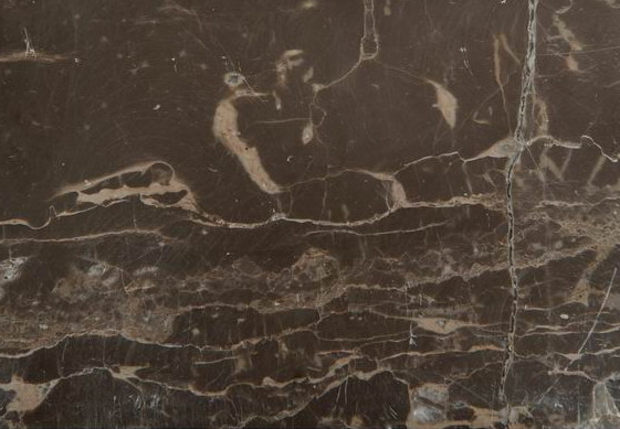 Imperial Golden Flower Imperial Golden Flower