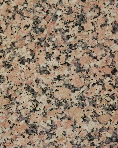 Rosa Santa Eulalia Ro Rosa Santa Eulalia Ro