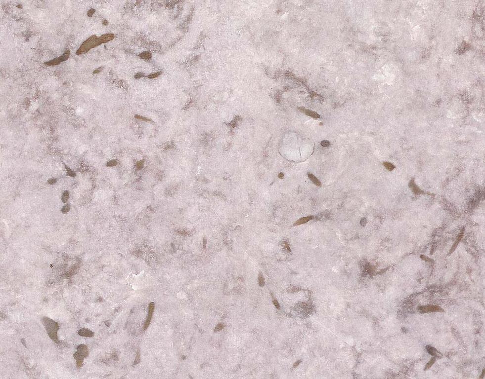 Cappuccino Light Cappuccino Light