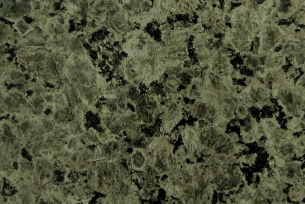 Rainforest Blue Rainforest Blue