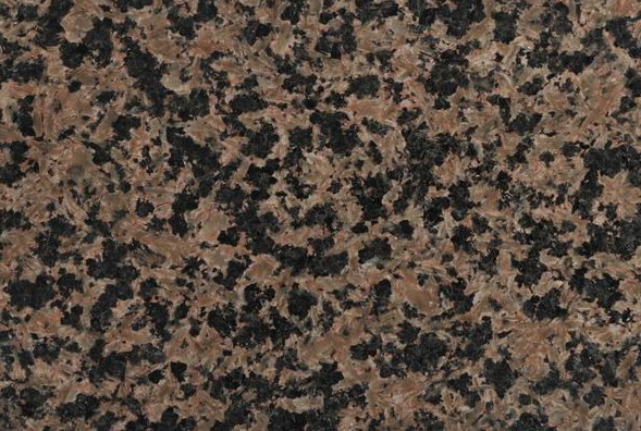 Camellia Red Camellia Red