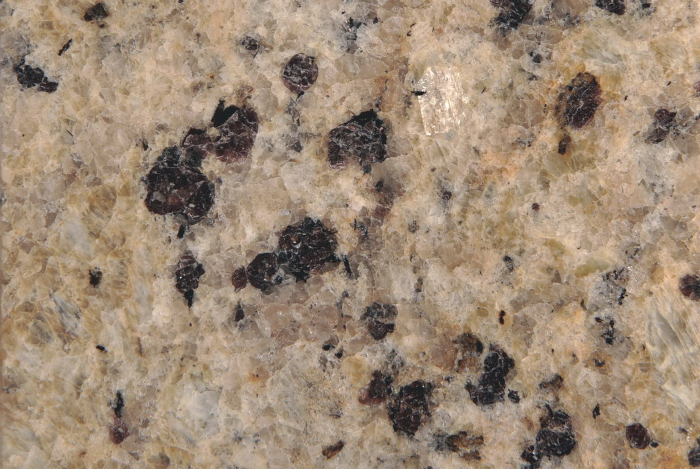 Venetian Gold Venetian Gold