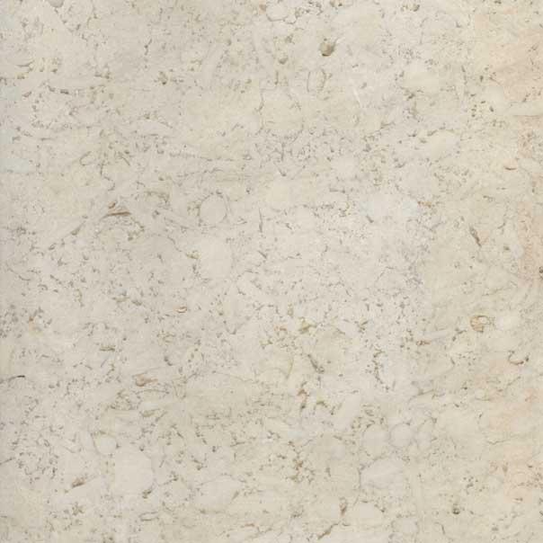 Desert White Desert White