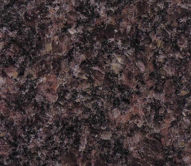 Indian Mahogang Indian Mahogang