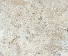 Yurac Travertine