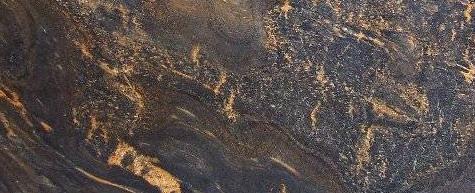 Black Lotus Black Lotus