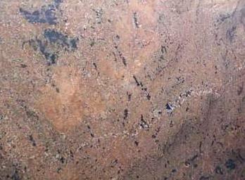 Marron Fantasy Marron Fantasy