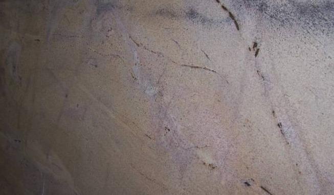 Penta Gold Penta Gold