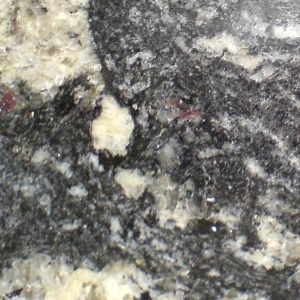 Tempest Black Tempest Black