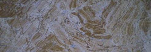 Yashi Golden Yashi Golden