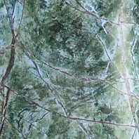 Yulin Green Yulin Green