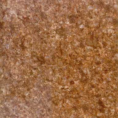 Sahara Brown Sahara Brown