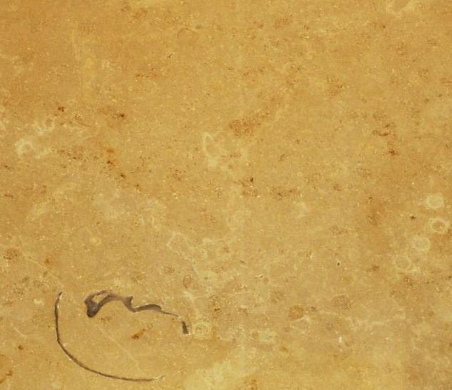 Jura Beige Jura Beige