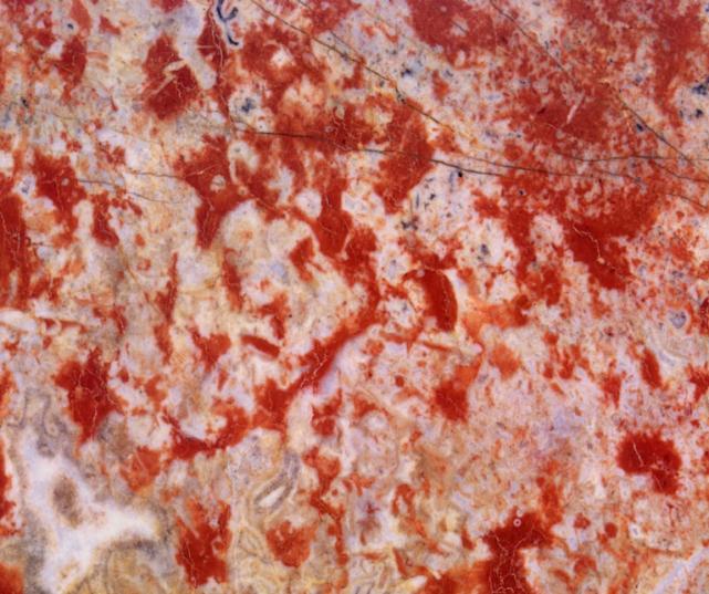 Incarnat Turquin Incarnat Turquin