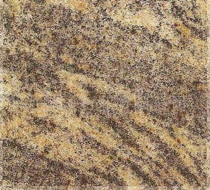 Dragon Trace Dragon Trace