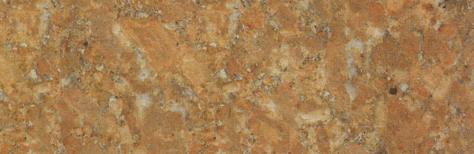 Golden Rose Golden Rose